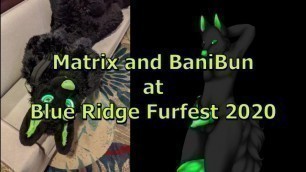 Blue Ridge Furfare 2020 (full Video on Fan Club)