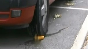 Fruit Crushed under Tires