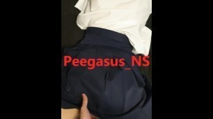 Peegasuss_PH 16